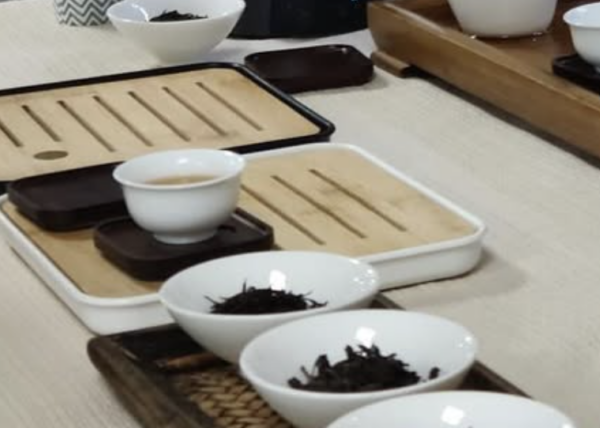 基础茶艺展示品茗 ｜Démonstration+ Dégustation Classique